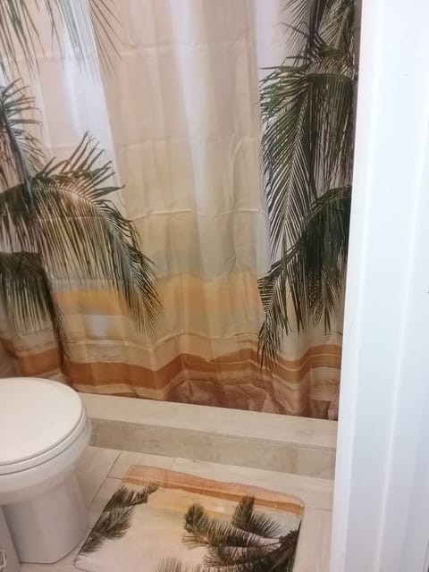 Shower, towels, soap, toilet paper