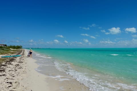 Sun loungers, beach towels