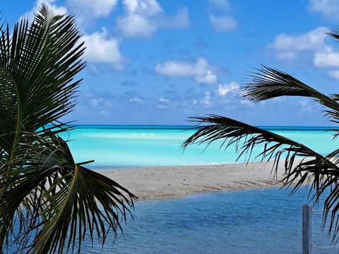 Sun loungers, beach towels