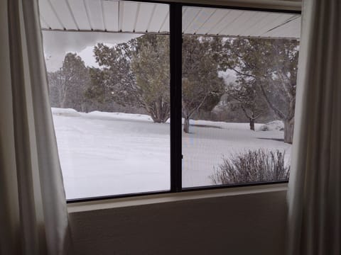 Mule deer and wild turkeys come through this meadow almost daily