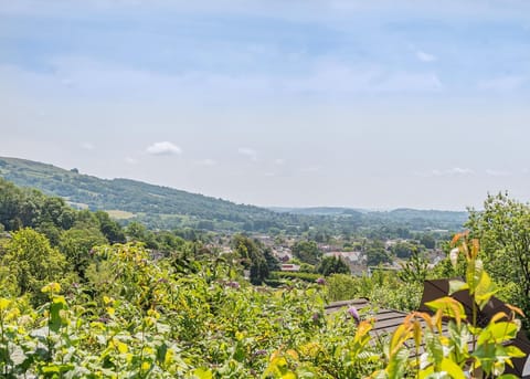 Cheddar Woods Resort & Spa, Cheddar