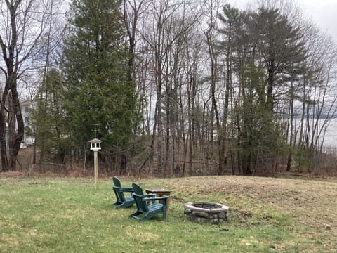 Fire pit next to bird feeder