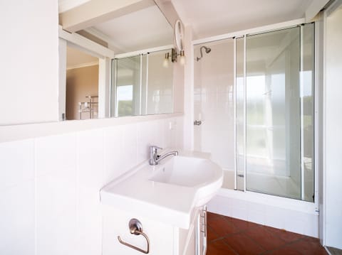 Combined shower/tub, jetted tub, hair dryer, towels