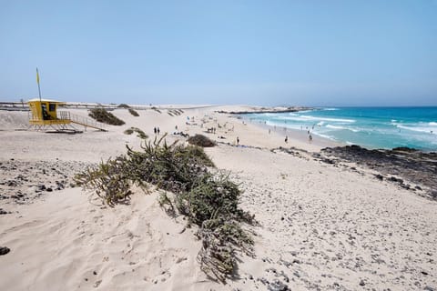 Beach nearby, beach towels