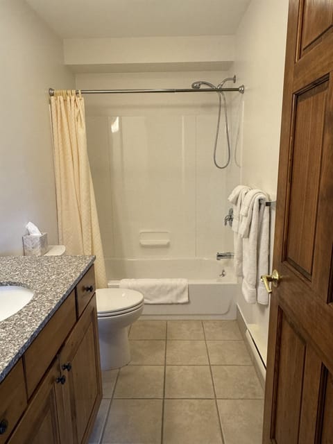 Combined shower/tub, hair dryer, towels