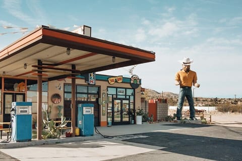 Iconic Joshua Tree just a short walk from home.