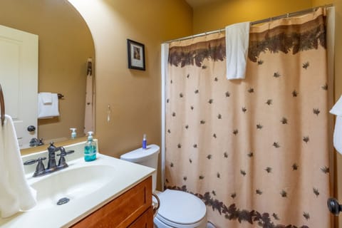 Combined shower/tub, hair dryer, towels