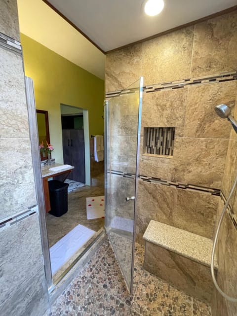 Shower, jetted tub, hair dryer, towels