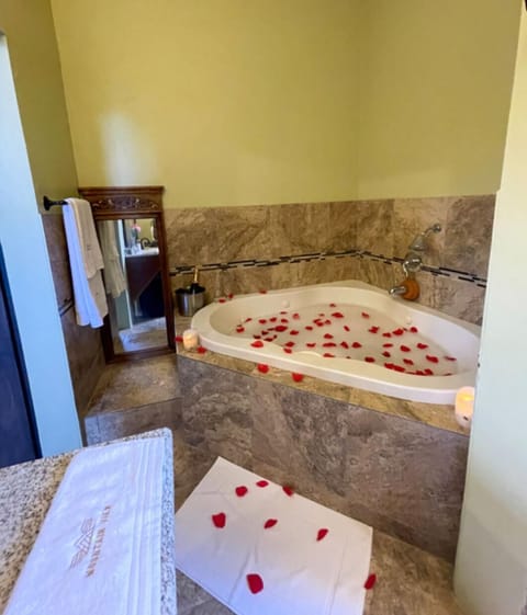 Shower, jetted tub, hair dryer, towels