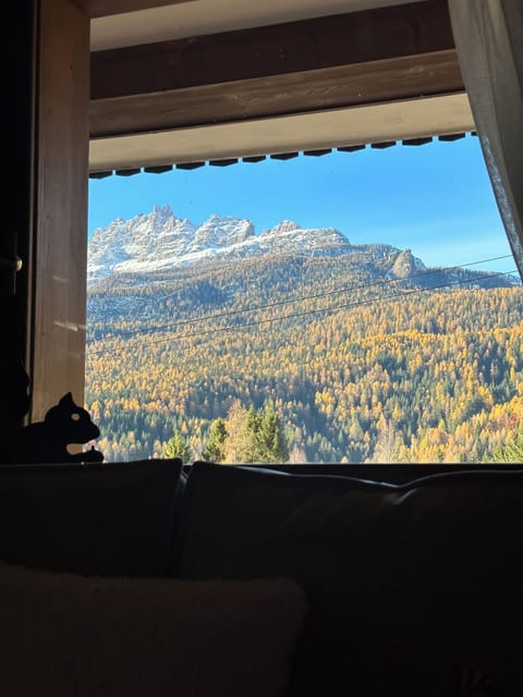 bedroom's view