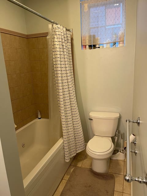 Combined shower/tub, jetted tub, hair dryer, towels