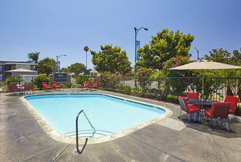 Outdoor pool, pool umbrellas, sun loungers