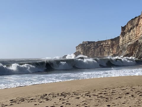 On the beach