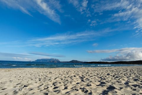 On the beach