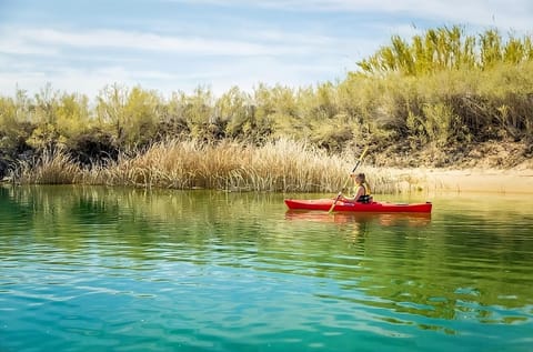 Free Onsite Parking, Santa Fe King Non Smoking Room at Edgewater Casino Resort House in Bullhead City