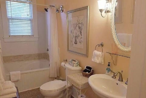 Bathtub, jetted tub, hair dryer