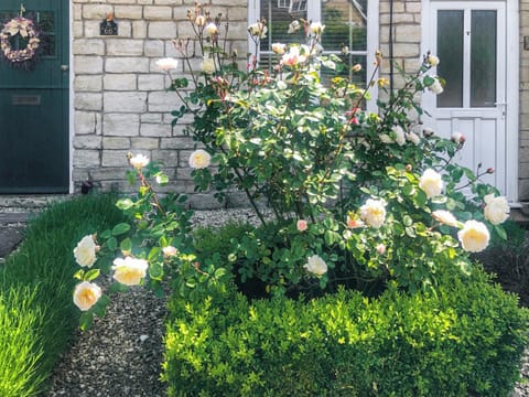 Garden | The Street Cottage, Uley, near Dursley