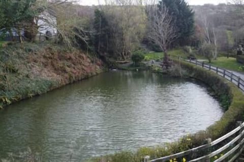 f4d5b431-1c2b-4367-a7cb-38a1d6cb3e78