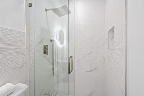Frameless modern shower doors