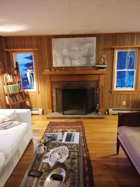 Smart TV, fireplace, books