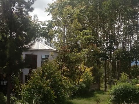 natural environment from river side Alojamiento y desayuno in Kenya