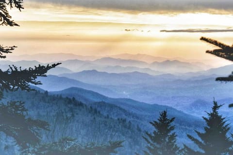 Water Rock Knob 20 minutes away! Photo credit to my sweet friend Joy Watkins