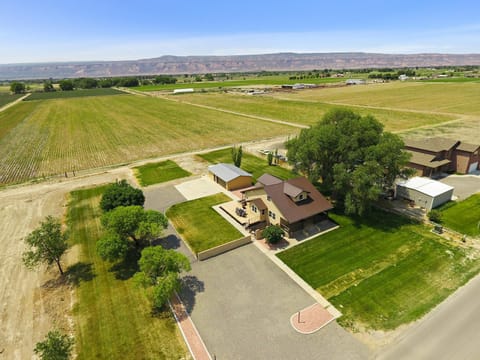 Bring the kids, bring the pets—there's room for everyone to run and play!