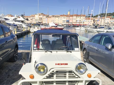 Region [summer] (&gt;5 km)