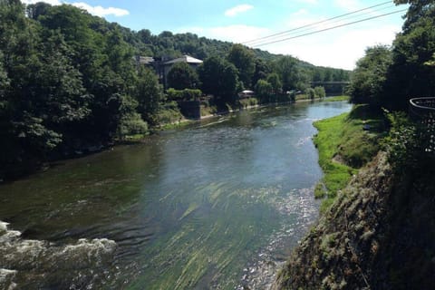 Region [summer] (>5 km)