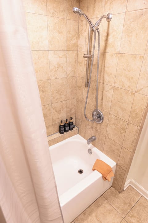 Combined shower/tub, hair dryer, bidet