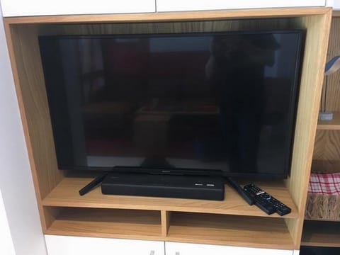 Television