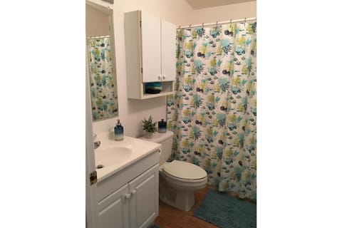 Combined shower/tub, hair dryer, towels, soap