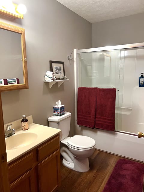 Combined shower/tub, hair dryer, towels, soap