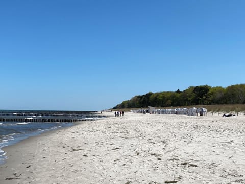 On the beach