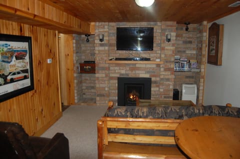 TV, fireplace, DVD player, books