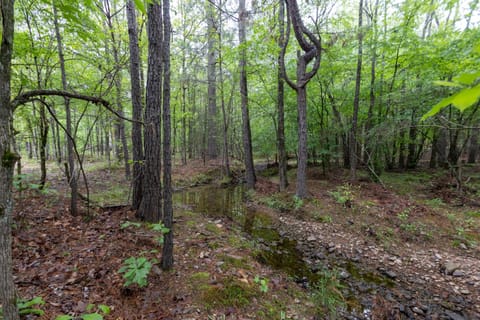 Flowing Creek Water next to Cabin
