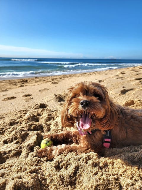 Beach nearby