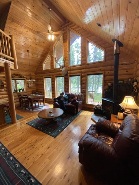 TV, fireplace, books