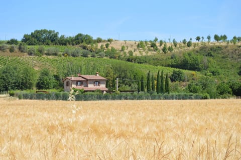 Villa Chiara, private villa with pool near Marsciano (5)