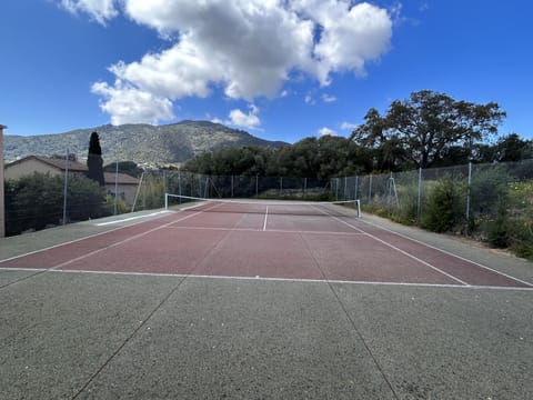 Sport court