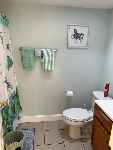 Combined shower/tub, towels, soap, toilet paper