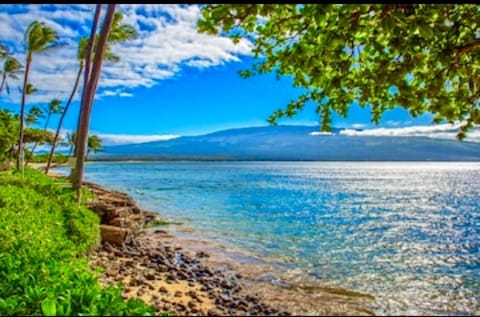 Beach nearby, sun loungers, beach towels