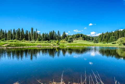 Gorgeous view on the Pond