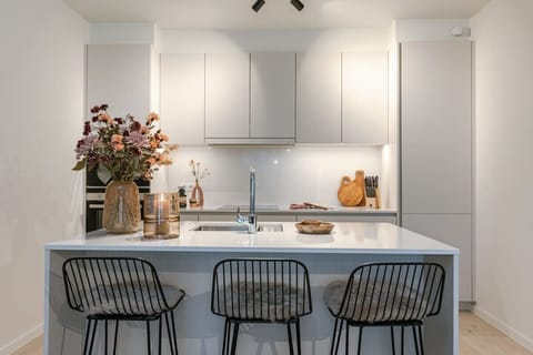 Modern fully equipped kitchen