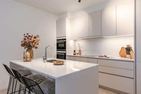 Modern fully equipped kitchen