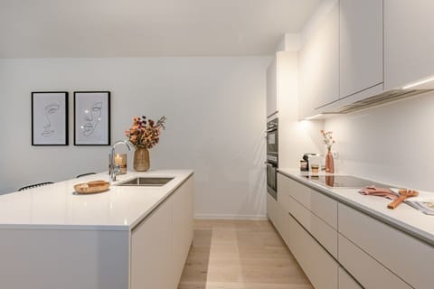 Modern fully equipped kitchen