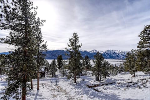 Views from the Balcony