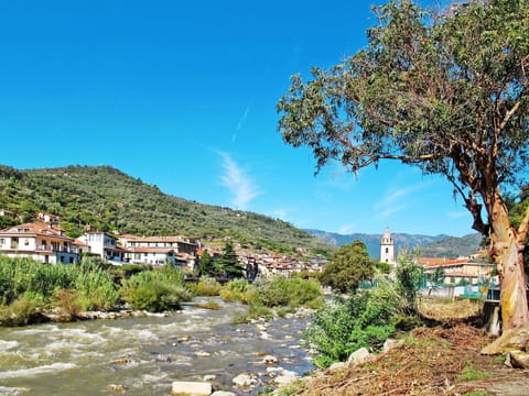 Sky, Water, Plant, Azure, Tree, Natural Landscape, Vegetation, Cloud, Mountain, Neighbourhood