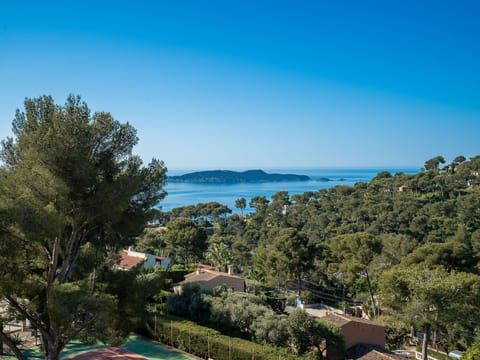 Sky, Plant, Water, Azure, Natural Landscape, Tree, Coastal And Oceanic Landforms, Arecales, Horizon, Mountainous Landforms