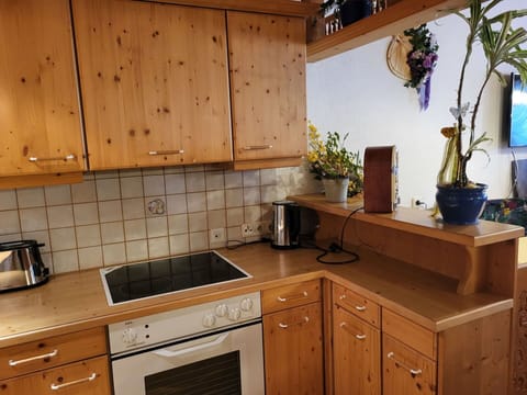 Cabinetry, Property, Countertop, Furniture, Building, Plant, Flowerpot, Kitchen Stove, Drawer, Wood